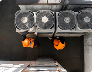 How Energy Labels Work (A+++ to D): What They Really Mean?